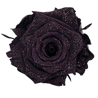 Preserved Roses - Art Decó Collection - ROSENSTAB - Derin