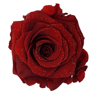 Preserved Roses - Art Decó Collection - ROSENSTAB - Firinta