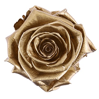 Preserved Roses - Art Decó Collection - ROSENSTAB - Gold