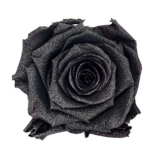 Preserved Roses - Art Decó Collection - ROSENSTAB - Midnight
