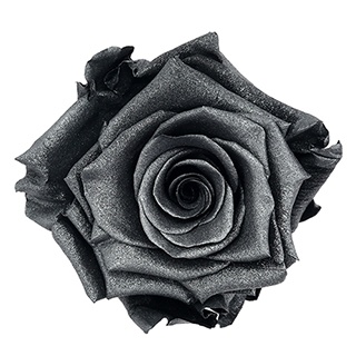 Preserved Roses - Art Decó Collection - ROSENSTAB - Nouvelle Lune