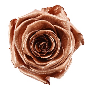Preserved Roses - Art Decó Collection - ROSENSTAB - Rose Gold