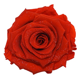 Preserved Roses - Art Decó Collection - ROSENSTAB - Sagesse