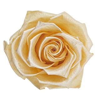 Preserved Roses - Art Decó Collection - ROSENSTAB - Sari