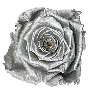 Preserved Roses - Art Decó Collection - ROSENSTAB - Silver Moon