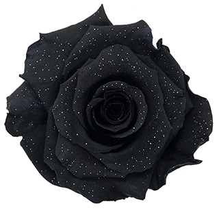 Preserved Roses - Art Decó Collection - ROSENSTAB - Siyah