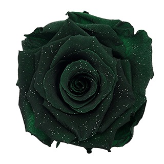 Preserved Roses - Art Decó Collection - ROSENSTAB - Zeytin
